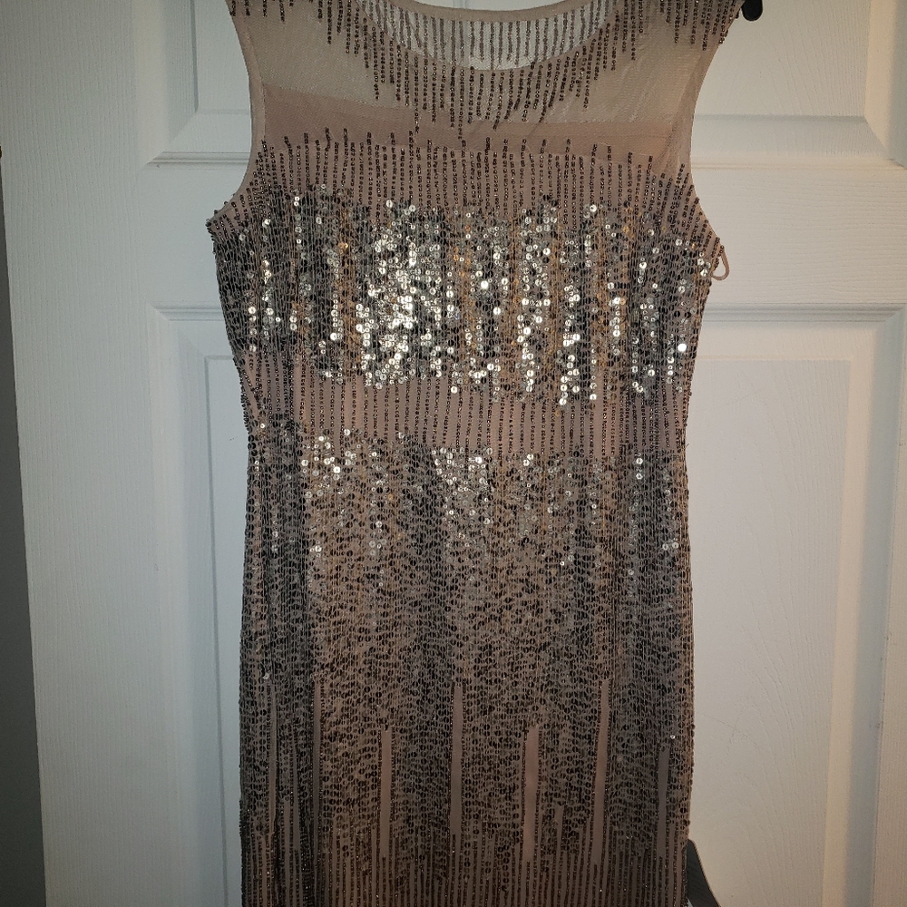 Adrianna Papell beaded dress, size 8, BNWT